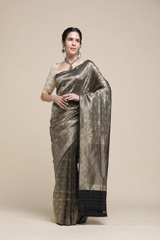 Woman wearing a traditional saree with a neutral background