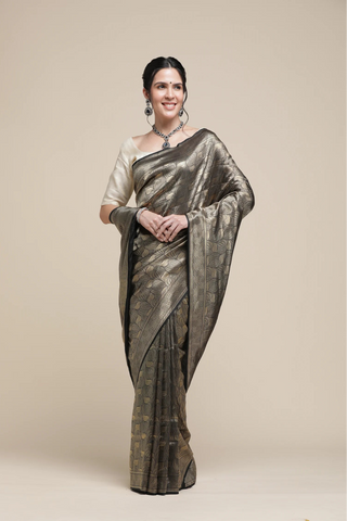 Woman wearing a traditional saree with a plain background