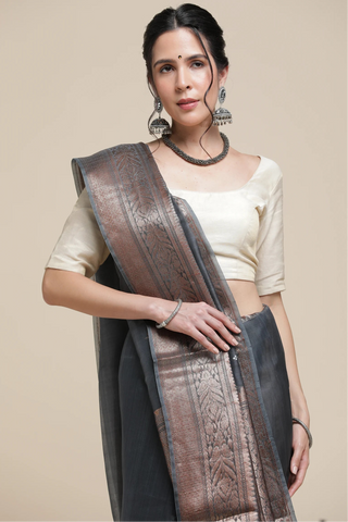 Woman wearing a traditional saree with a plain background