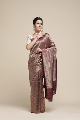 Woman wearing a traditional saree with a plain background
