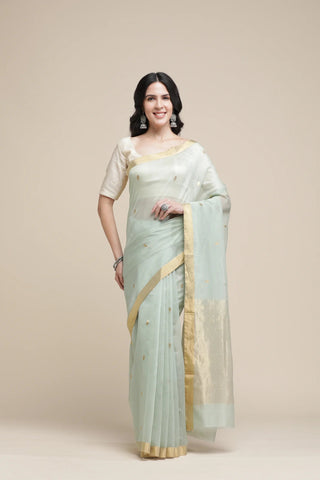 Woman wearing a light green saree with a beige blouse against a beige background